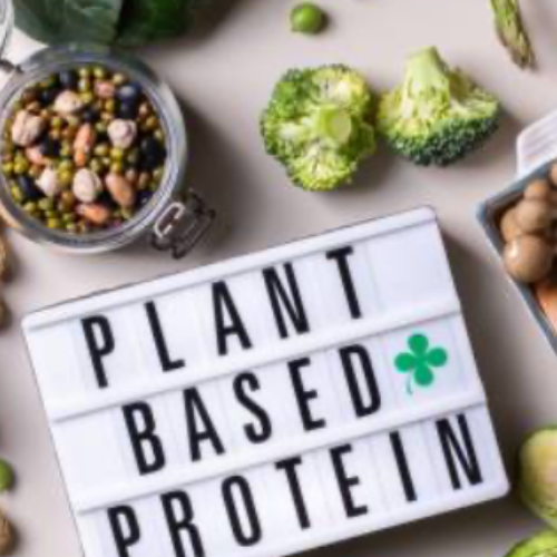 Discover the Best Plant-Based Meat Options for Maroubra, Sydney Residents : A Guide from The Fitness Space